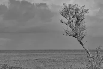 Against the Storm