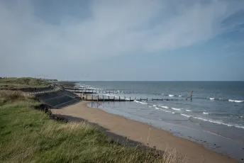 Z50_2480 - The Redcar Stray