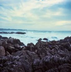 The Mood of the Sea