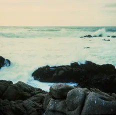 The Force of the Ocean