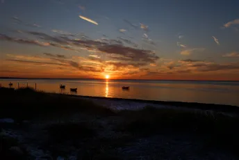 Sonnenuntergang Ostseestrand DK > < Sunset on a Baltic Sea Beach in Denmark