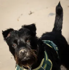 Z50_2564 - Reggie