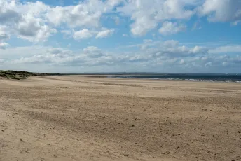 Z50_2554 - Majuba Beach
