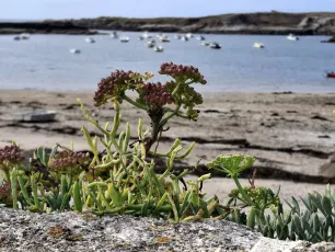 Beauté de bord de mer, port de Porspoder, Finistère, Bretagne