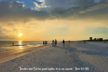 Siesta Beach • Siesta Key, FL
