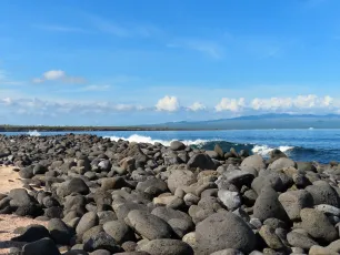 Shoreline on North Seymour