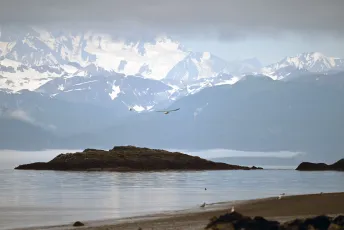 glacier bay2