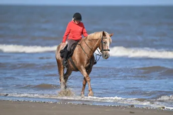 Beach ride