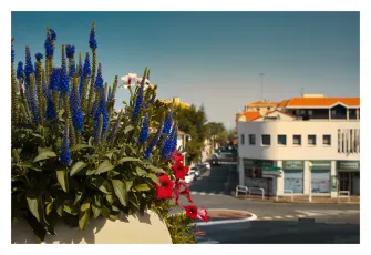 Bleu blanc rouge