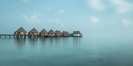 The Ocean’s Edge