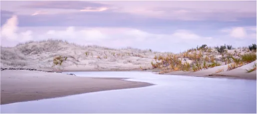 Lagoon in the Dunes