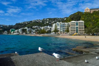 Wellington, New Zealand