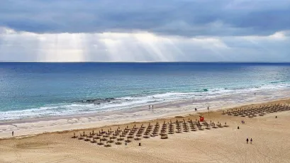 Rays