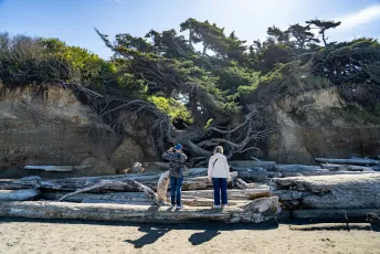 Tree of Life and Drift Log Amphitheater