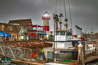 O'Side Harbor Misty Dawn 5Dii 8x15mm