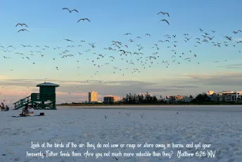 Siesta Key • Sarasota County