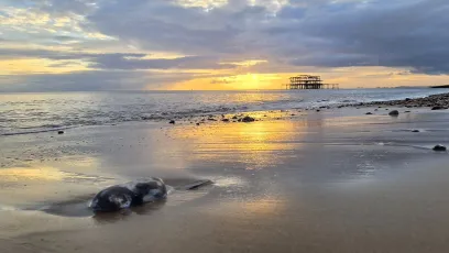 Sunset on Brighton Beach.....