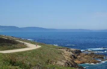 Caion