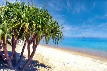 Moreton Island