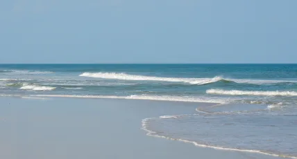 NC