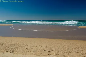 Tuross Head - incoming wave