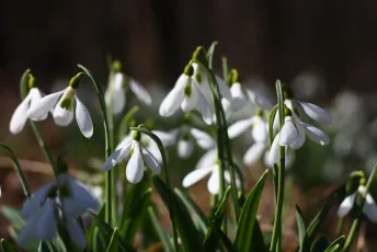 Hello Spring