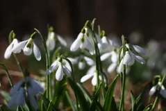 Hello Spring