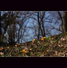 Watch the ground for signs of life