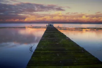 jetty
