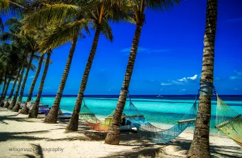 Summer In The Philippines