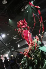 Blizzcon 2013