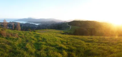 P1300085_Panorama