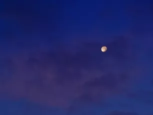 Moon at dawn