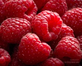 Raspberry