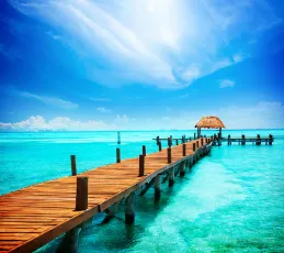 Paradise