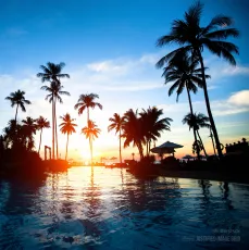 Sunset at a beach resort