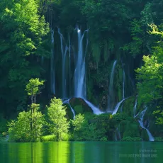 Wonderfully green