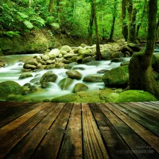 Wood floor perspective