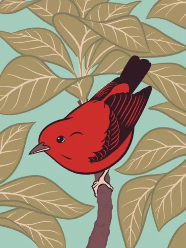 Day 30 of Avian August 2025, Birds of Hawaii, hosted by @cookiedoves: Kākāwahie or Molokaʻi creeper…