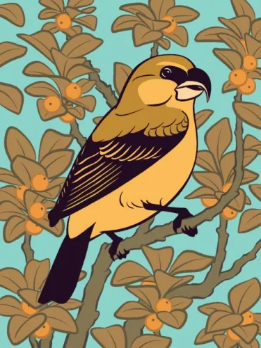 Day 26 of Avian August 2025, Birds of Hawaii, hosted by @cookiedoves: Kiwikiu or Maui Parrotbill…