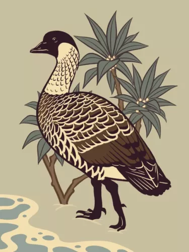 Day 20 of Avian August 2025, Birds of Hawaii, hosted by @cookiedoves: Nēnē or Hawaiian Goose (Branta…