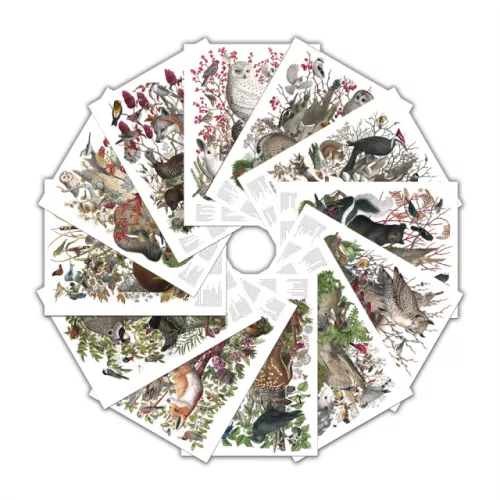 THE FOREST REVEALED POSTERS!
now available in my ETSY SHOP
sold individually, or as a set of all 12…