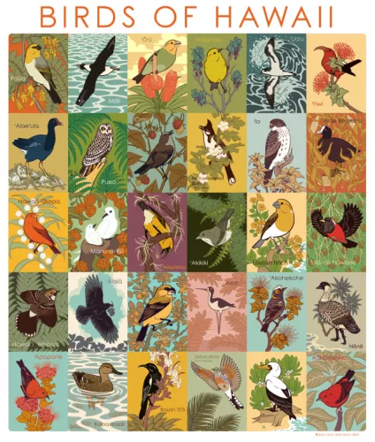 Avian August is complete!
I’ve always wanted to participate, but never managed to make the time…