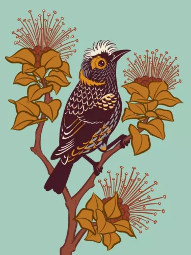 Day 19 of Avian August 2025, Birds of Hawaii, hosted by @cookiedoves: ʻAkohekohe or Crested…