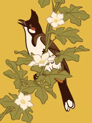 Day 21 of Avian August 2025, Birds of Hawaii, hosted by @cookiedoves: Red-whiskered Bulbul…