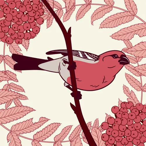 jadafitch:An hour into drawing this pine grosbeak, one...