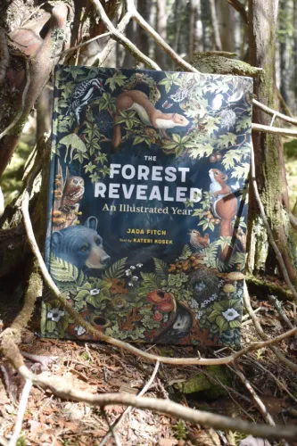 Today is the day! The Forest Revealed is now released into the wild. Huge huge thank you to Kateri…