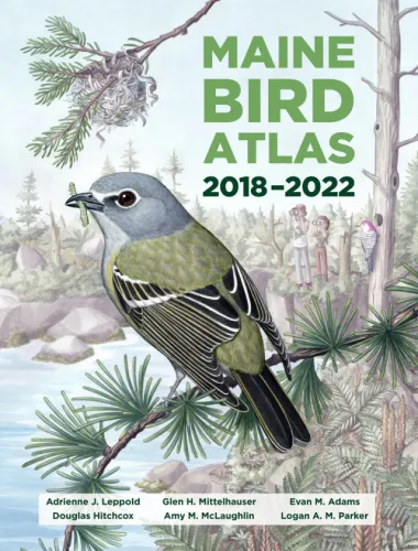 Very excited to share the blue-headed vireo cover art I was commissioned to create for the Maine…