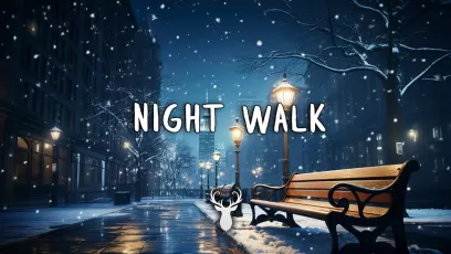 Night Walk | Winter Chill Mix