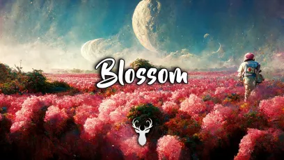 Blossom | Beautiful Chill Mix